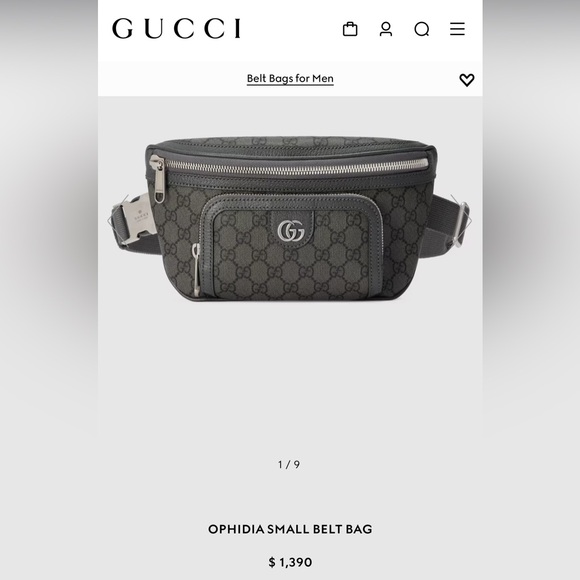 Gucci GG Supreme Monogram Belt Bag - Picture 10 of 10